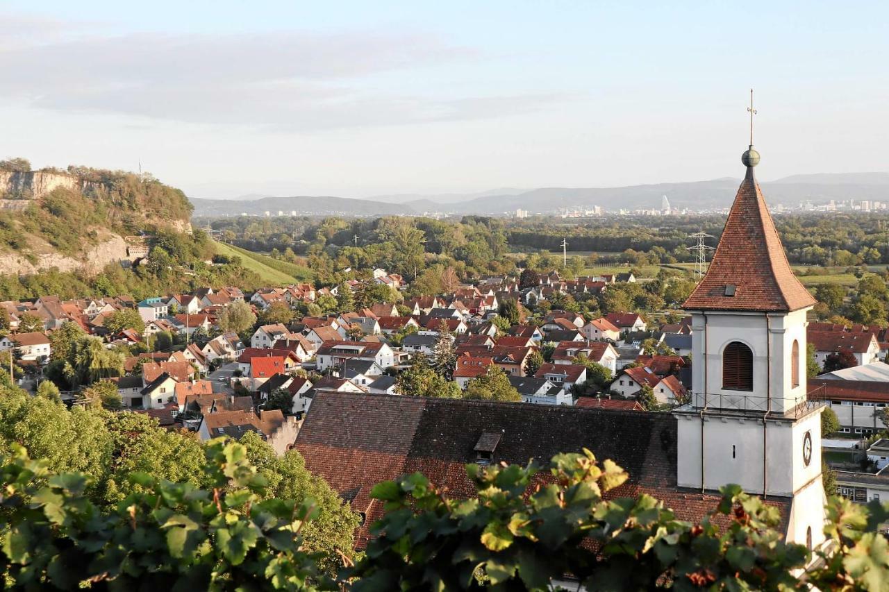 Mariposa Apartamento Efringen-Kirchen Exteriör bild