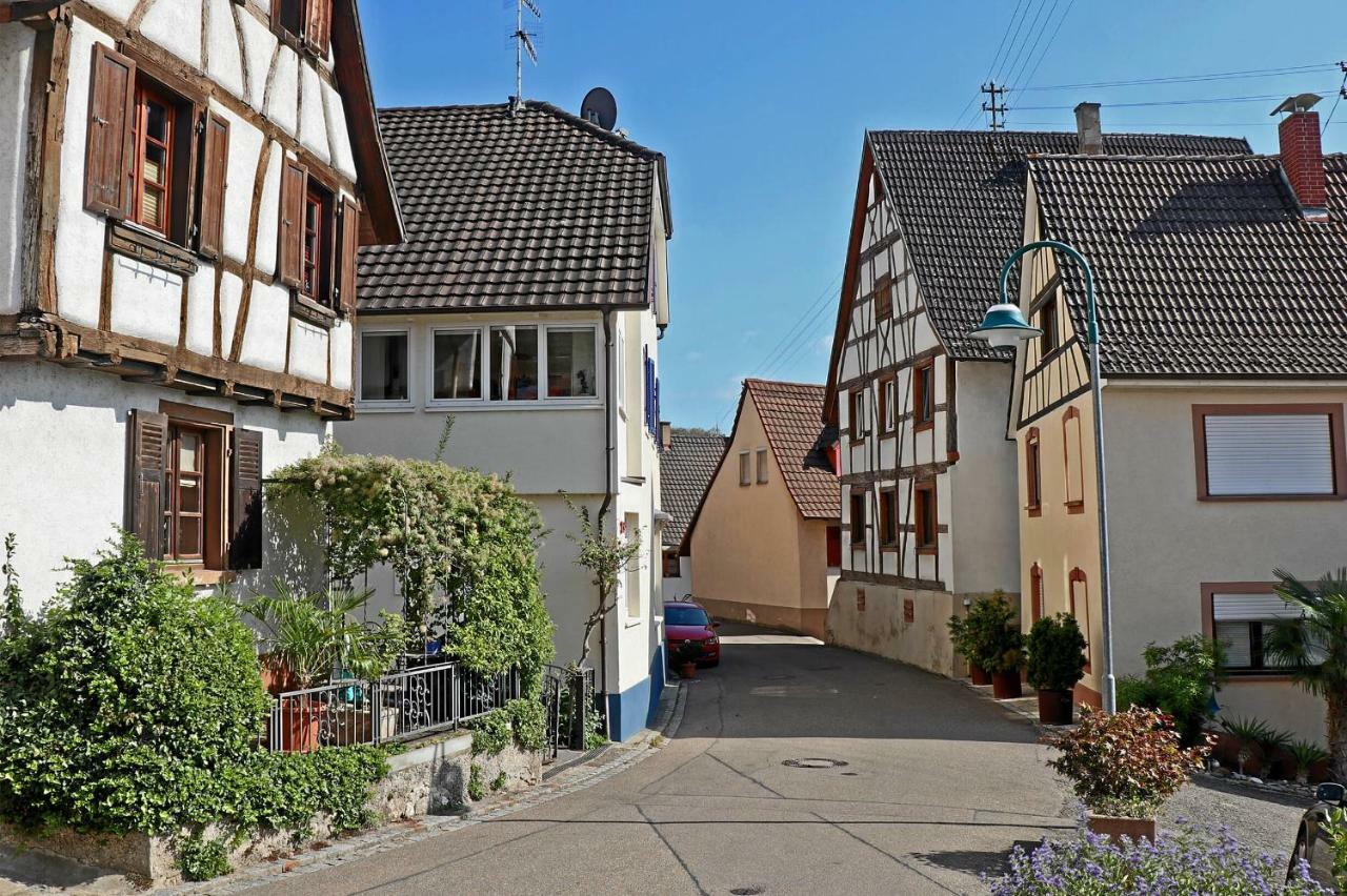 Mariposa Apartamento Efringen-Kirchen Exteriör bild