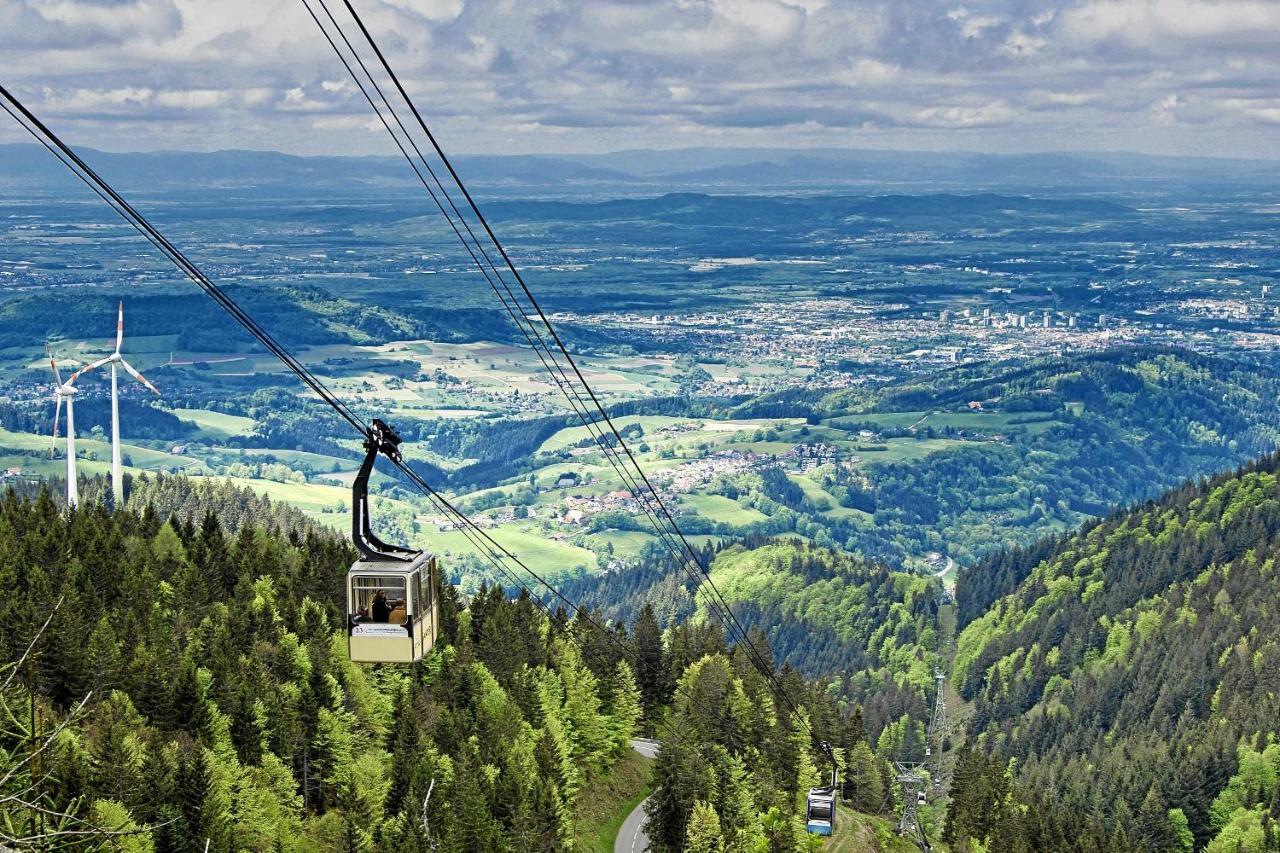 Mariposa Apartamento Efringen-Kirchen Exteriör bild