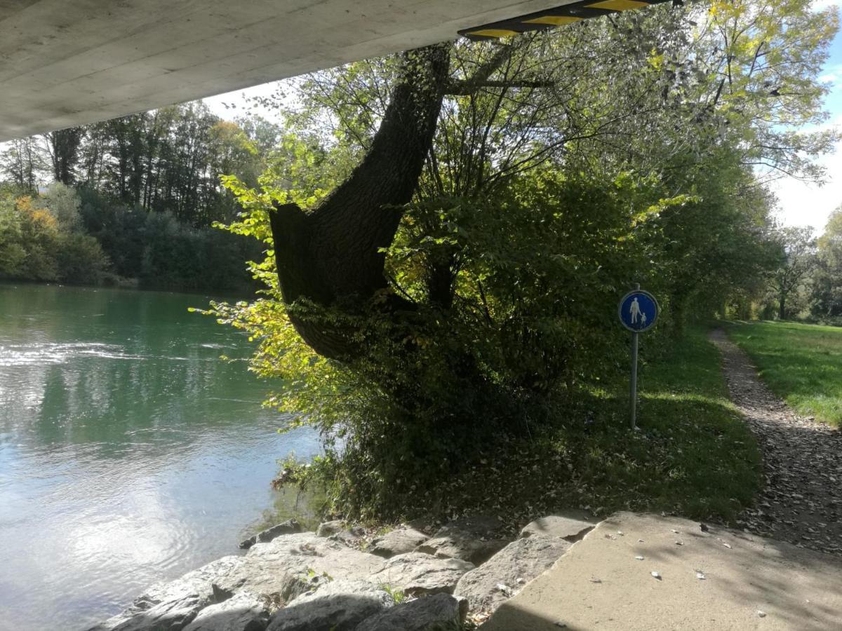 Mariposa Apartamento Efringen-Kirchen Exteriör bild